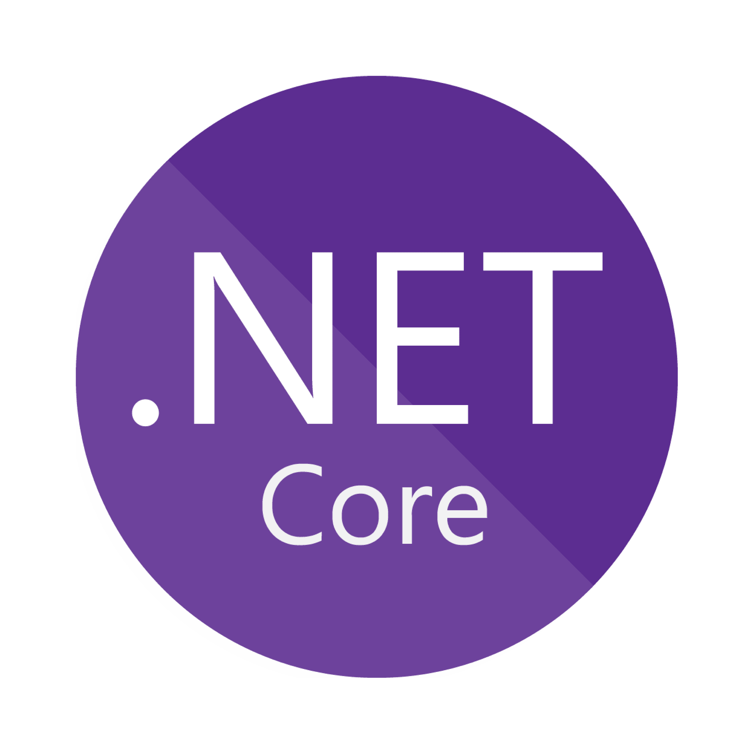 .NET Development Services 1
