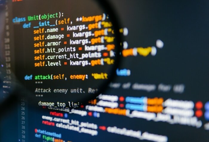 Python team